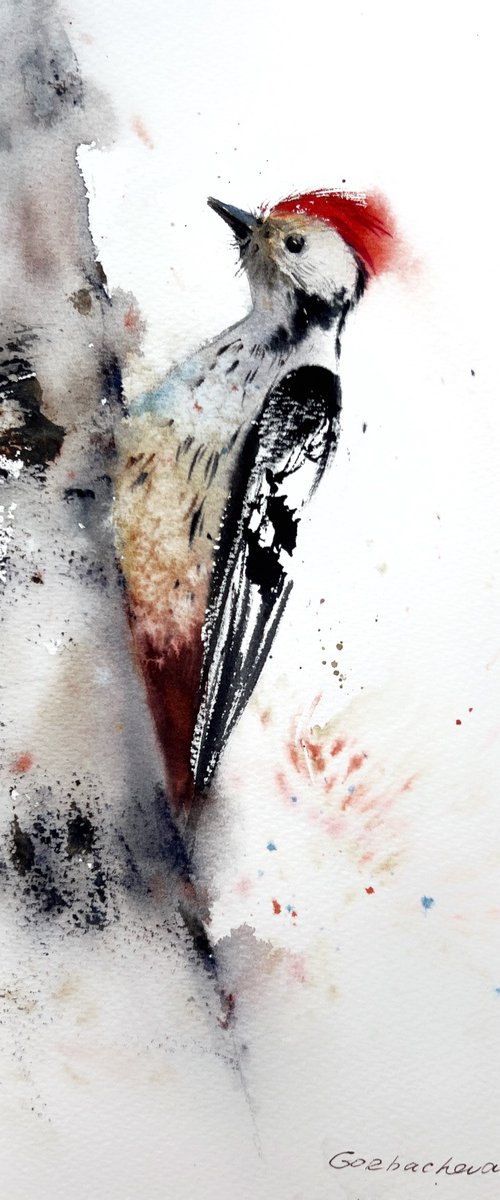 Woodpecker on a tree by Eugenia Gorbacheva