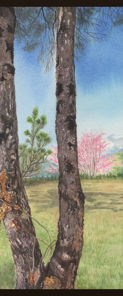 Himalayan Pine Tree by Shweta  Mahajan