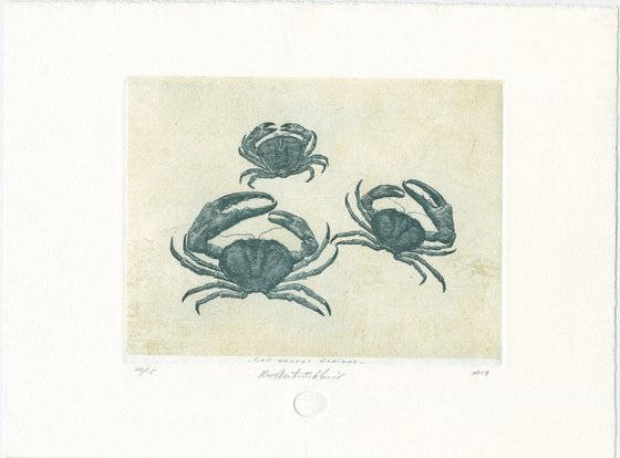 Crabs CALLINECTES SAPIDUS