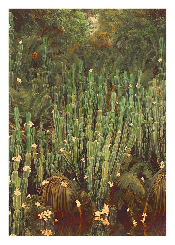 Cactus Jungle - Framed