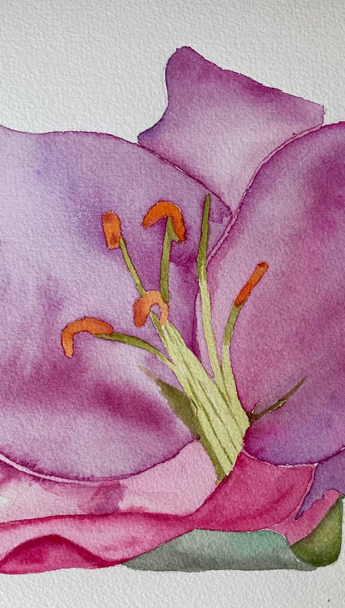Purple lilies in watercolour by Bethany Taylor