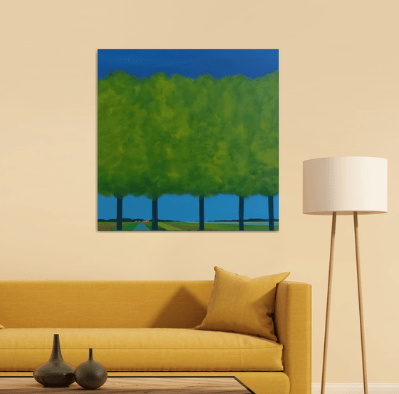 Trees in the polder