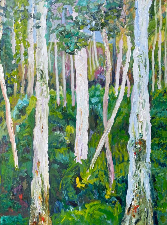 GHOST GUM FOREST 1