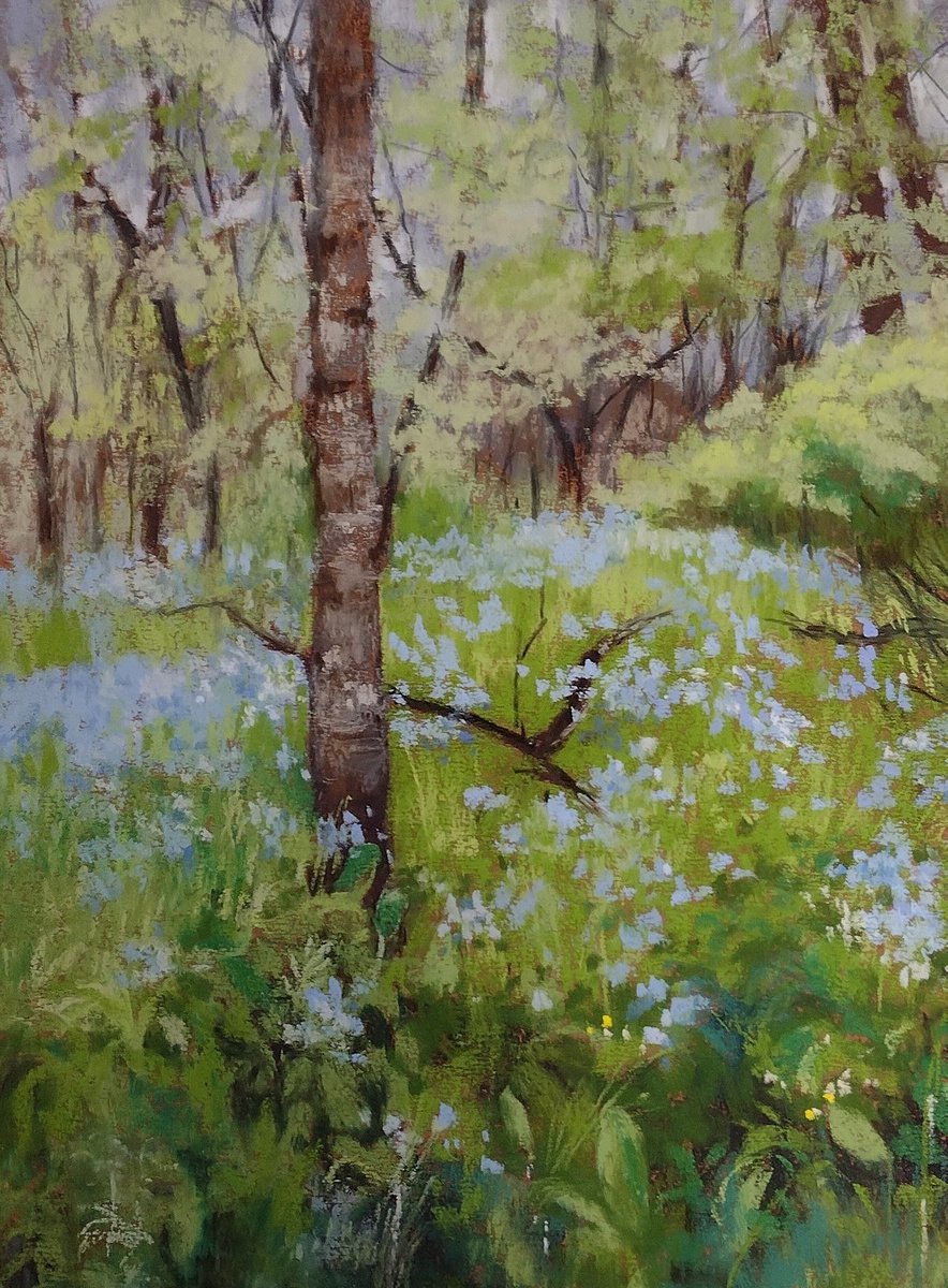 Spring Woods by Joanne Carmody Meierhofer