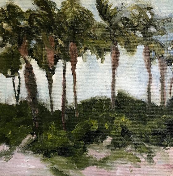 Palm Grove