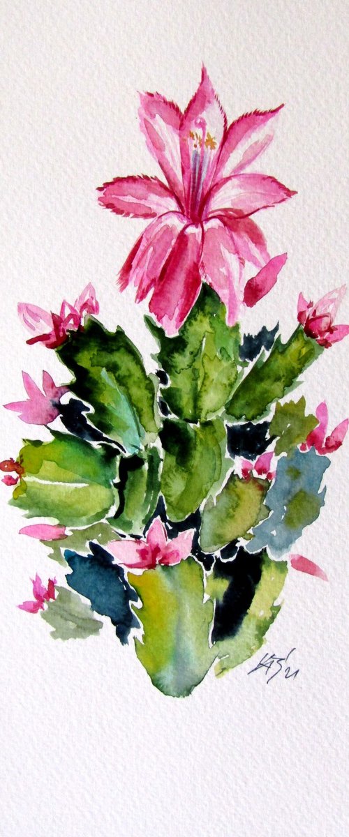 Christmas cactus by Kovács Anna Brigitta