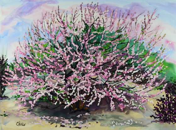 Flowering Almond II