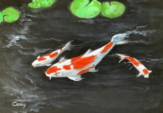 Koi’s