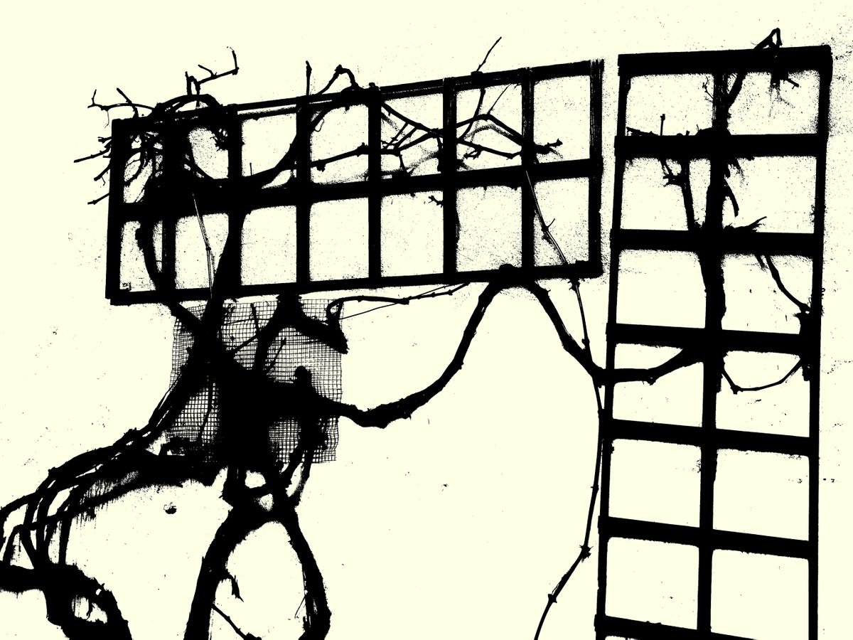 Abstract Botanical Photograph By Petr Strnad, 16 X 12", Quick Notes #38, Original Artwork