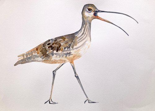 Curlew ( inspired by Jim Moir) by Martin Whittam