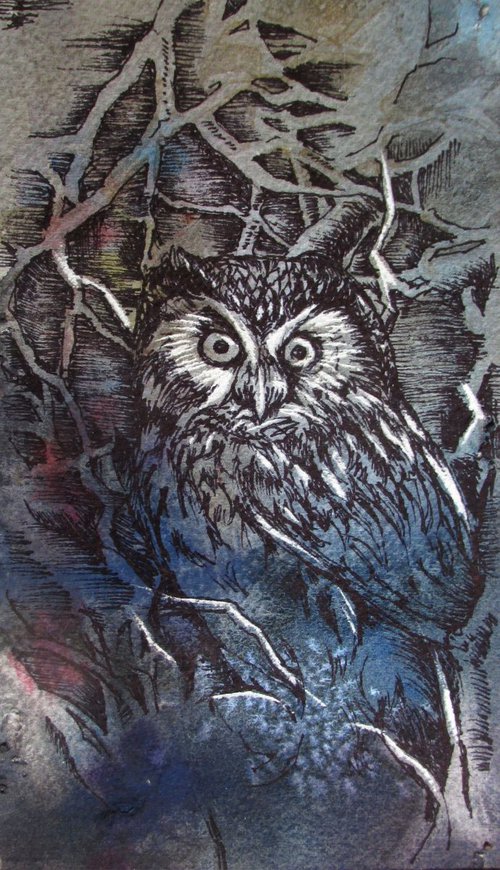 night owl drawing by Alfred  Ng