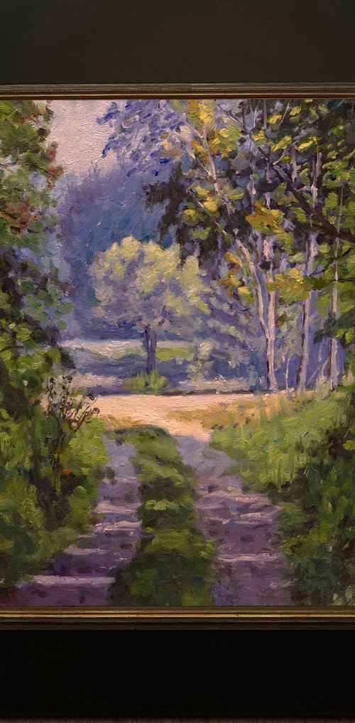 Colorful Forest Light by Daniel Brian Fishback