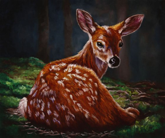 'Sanctuary' Blacktail deer fawn