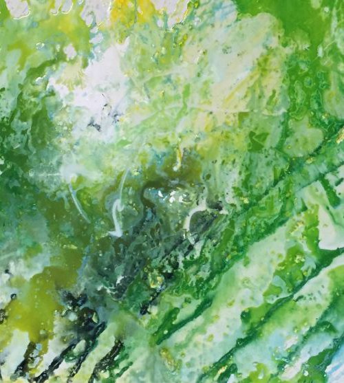 Splash 2 by Tiny de Bruin