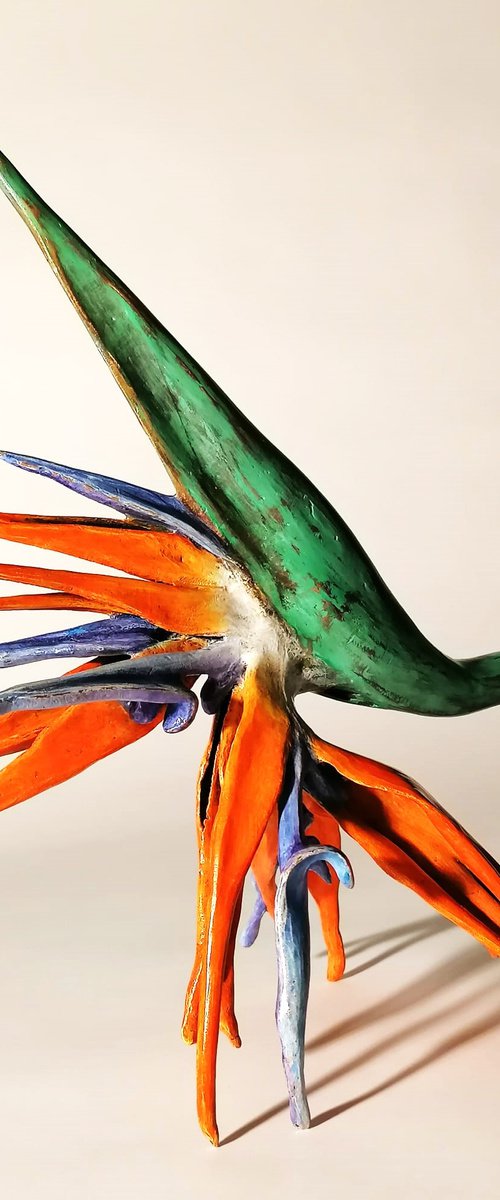 Strelitzia,  bird of paradise by KONSTA - Alexandra Konstantinovna