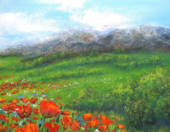 Poppy and wildflower meadow