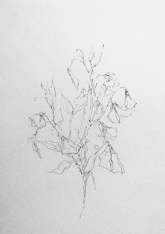 Sweet pea #5 - Still life. Original pencil drawing