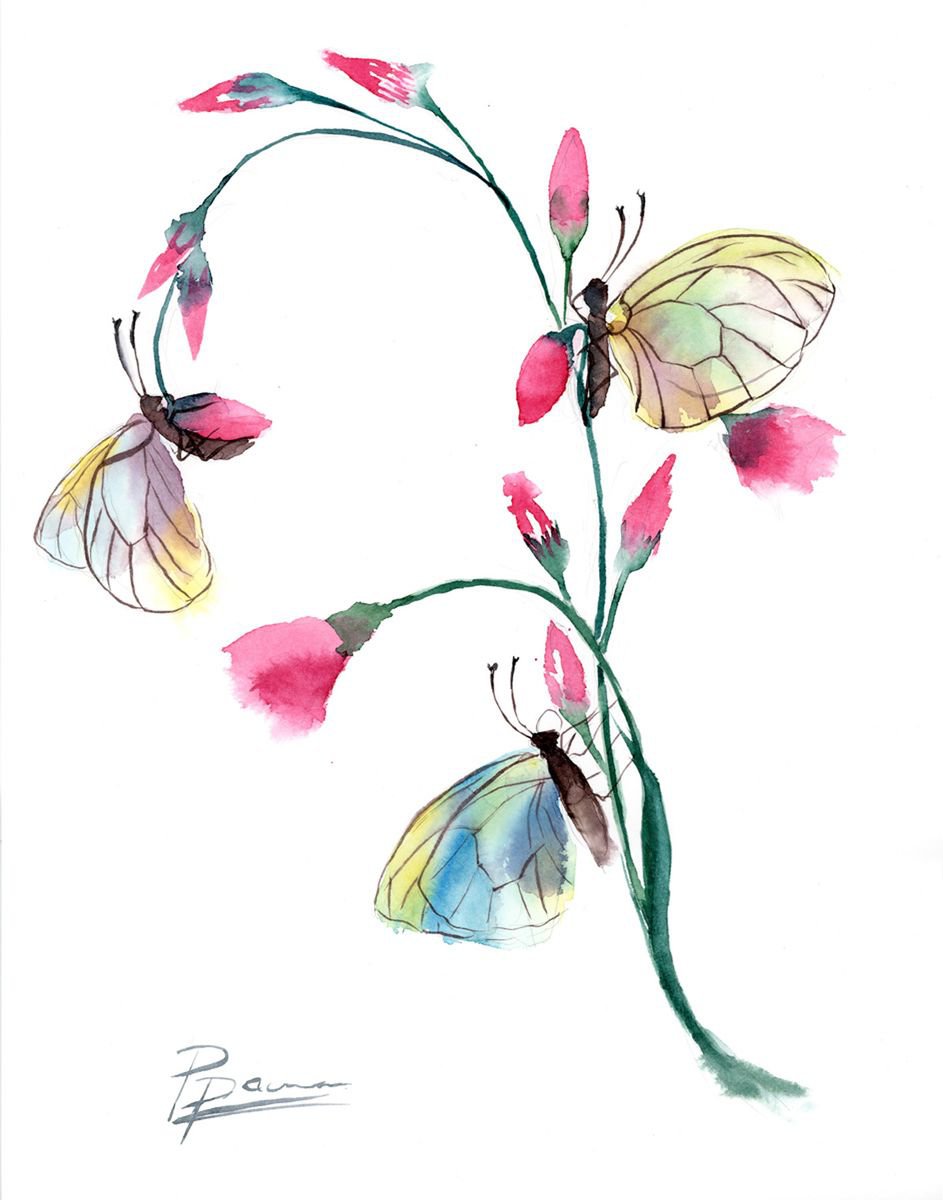 Butterflies on the flowers by Olga Shefranov (Tchefranova)