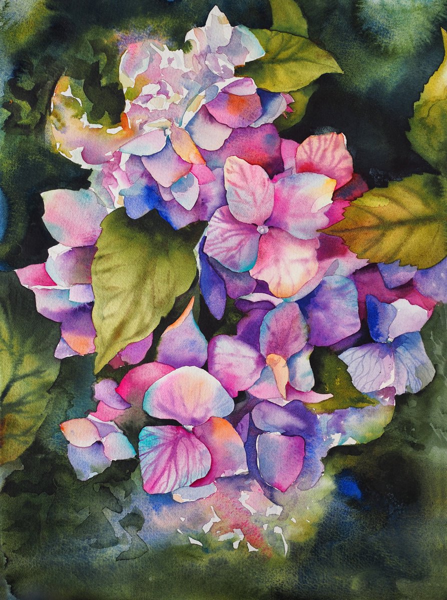 Hydrangea- original sunny watercolor by Delnara El