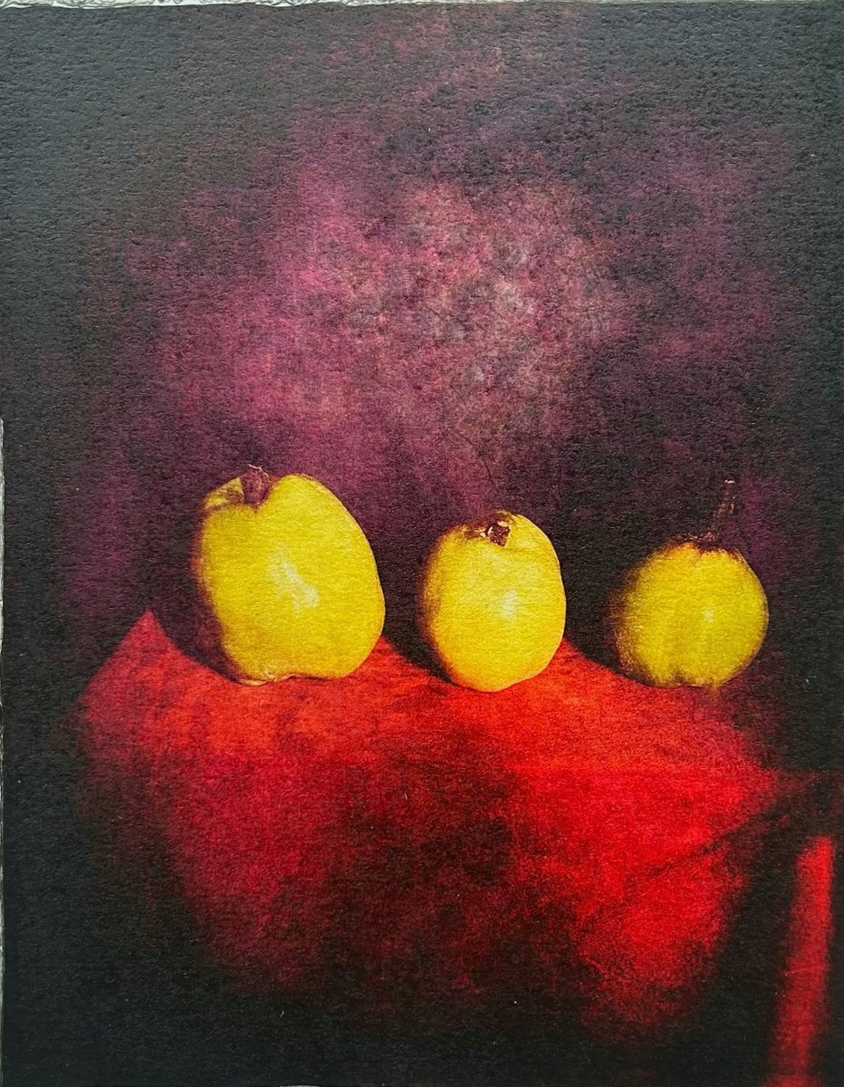 Expressive Botanical Photograph By Sarah Parsons, 12 X 15", Three Golden Quinces, Original Artwork