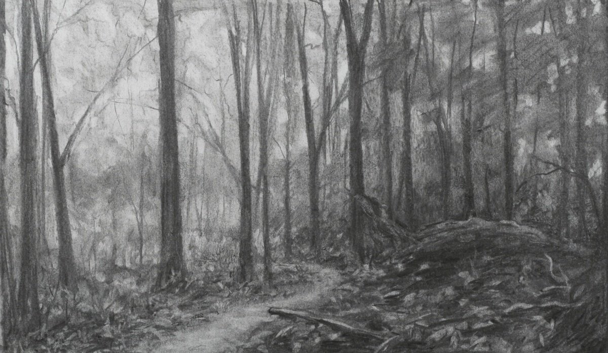 Landscape Charcoal Drawing By John Fleck, 24 X 18, Baxter