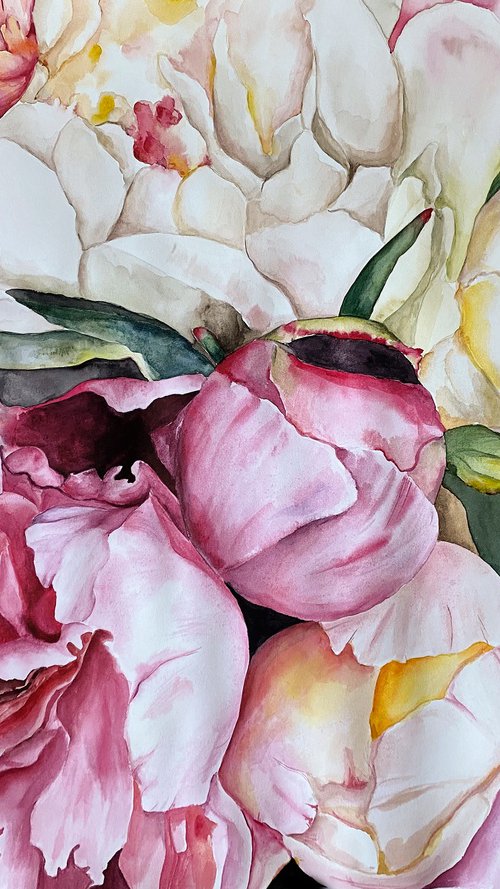 Peony Symphony by Anna Lyashenko