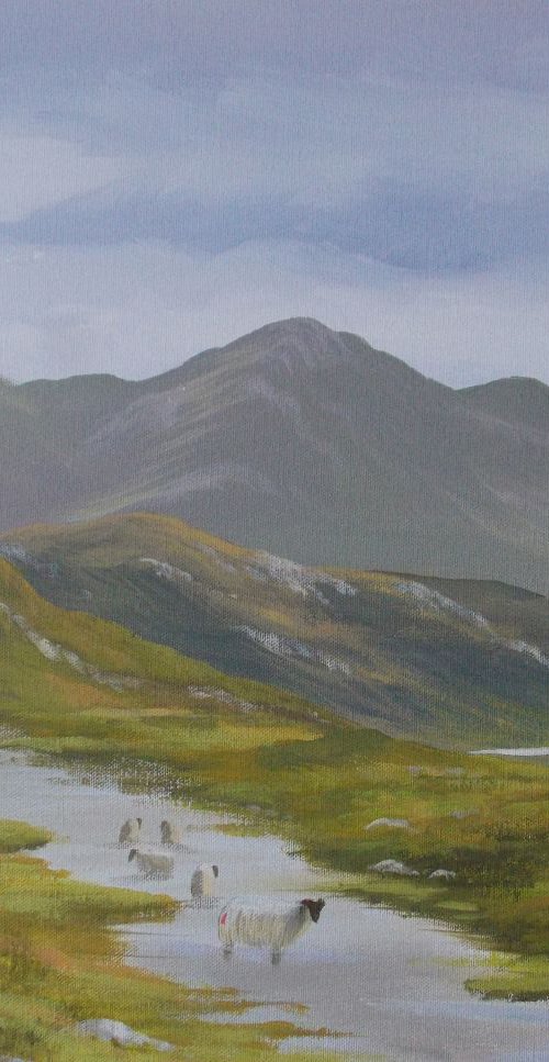 connemara bogland by cathal o malley