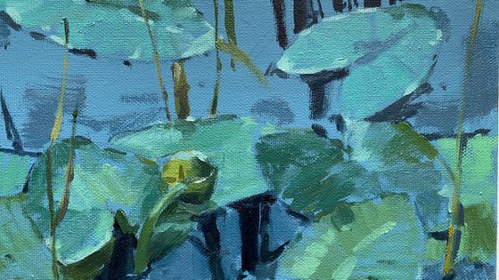 Water lily original  oil painting