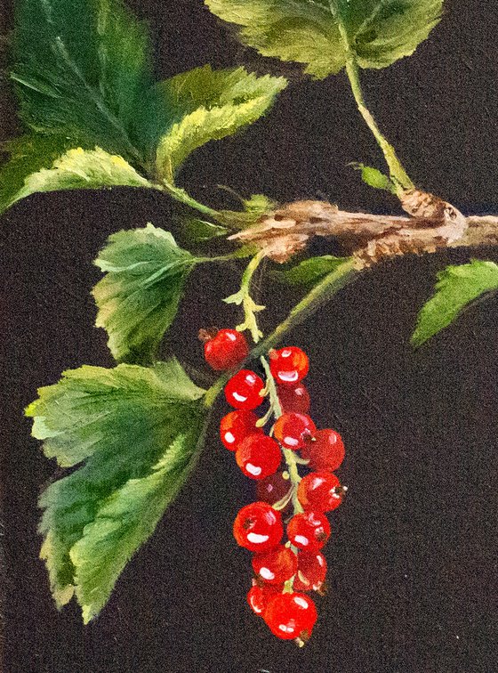 "THE RED RIBES"