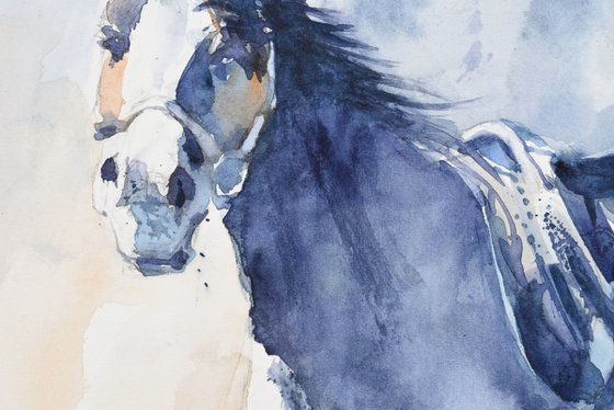 Running horse ( LIpizzaner ) 4