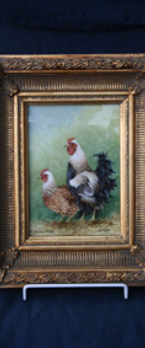 Chickens by Christopher Hughes