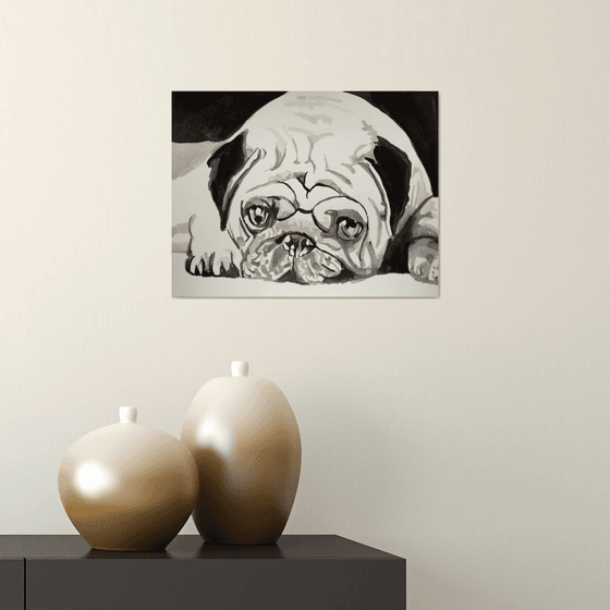 Pug