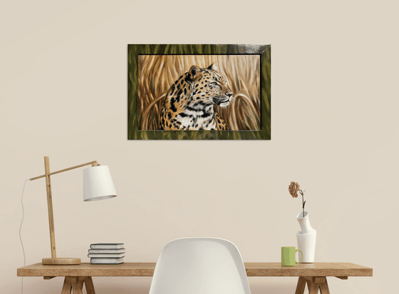 The Silent Watcher: Amur Leopard