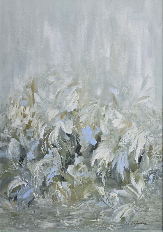 Morning Meadow Mist