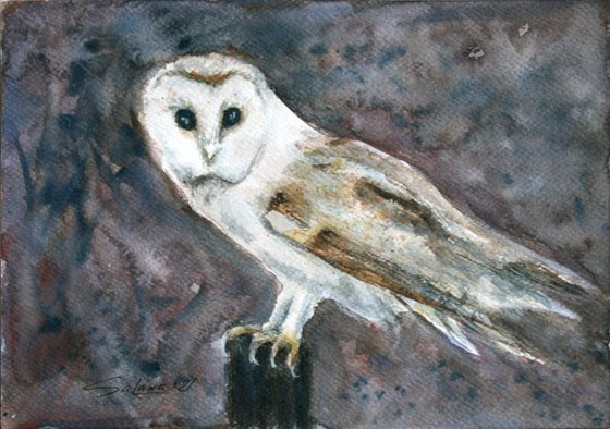 White Owl /  ORIGINAL PAINTING