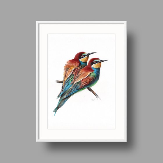 European Bee-eater