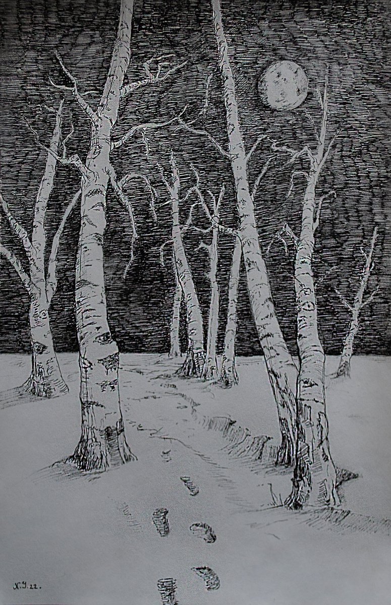 Illustrative Ink Drawing , Birches In The Moonlight By Nikola Ivanovic, 8 X 12, Artwork For Sale On Artfinder