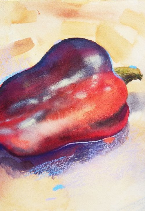 Sweet pepper watercolor study. by Alla Vlaskina