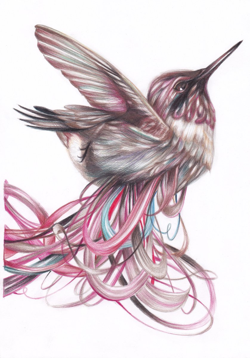 Animal Pencil Drawing By Anastasia Terskih, 8 X 12, Fur?damu, Original Artwork