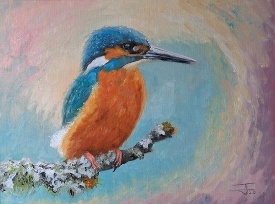 Kingfisher on the lichen