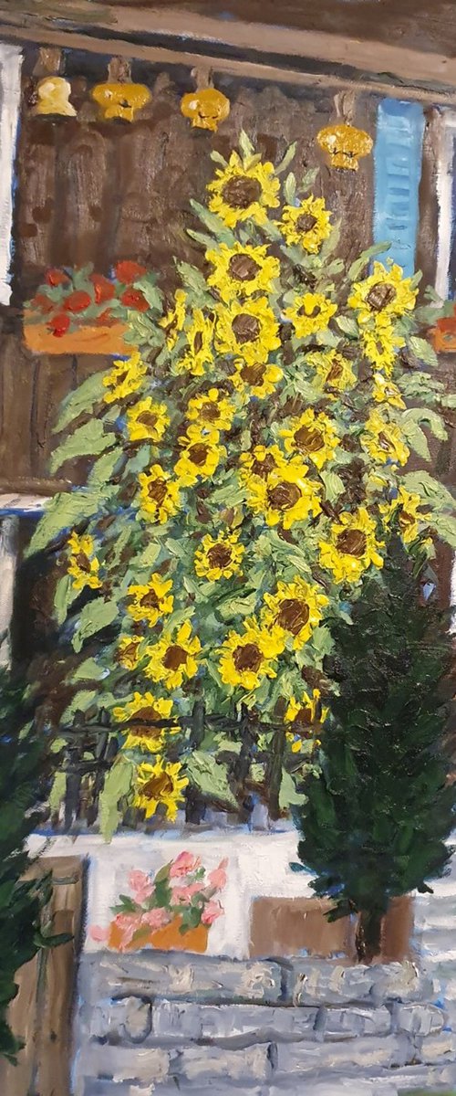 sunflower bush, wengen, switzerland by Colin Ross Jack