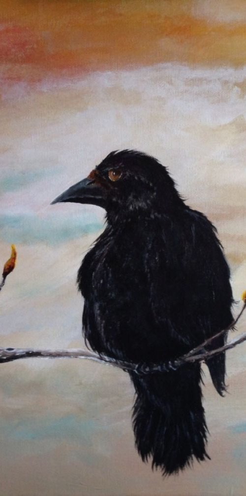 Fledgling by Donna Daniels