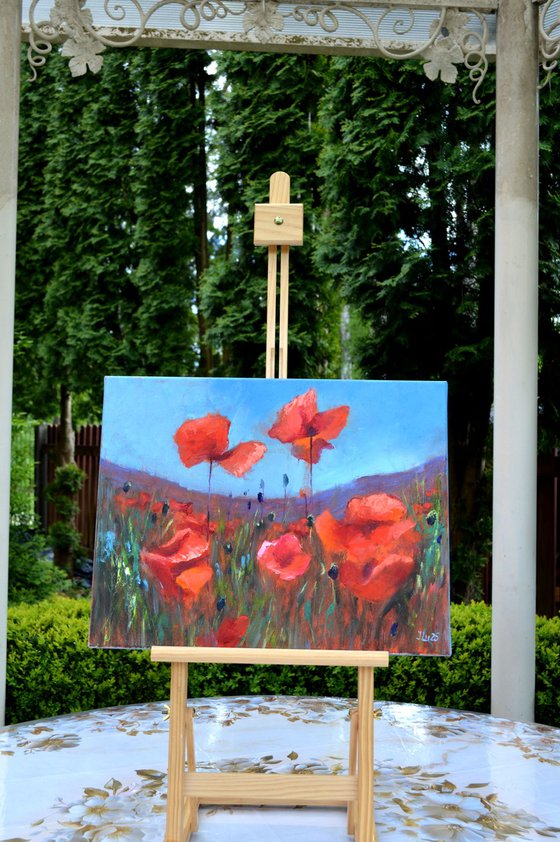 Coral Poppies