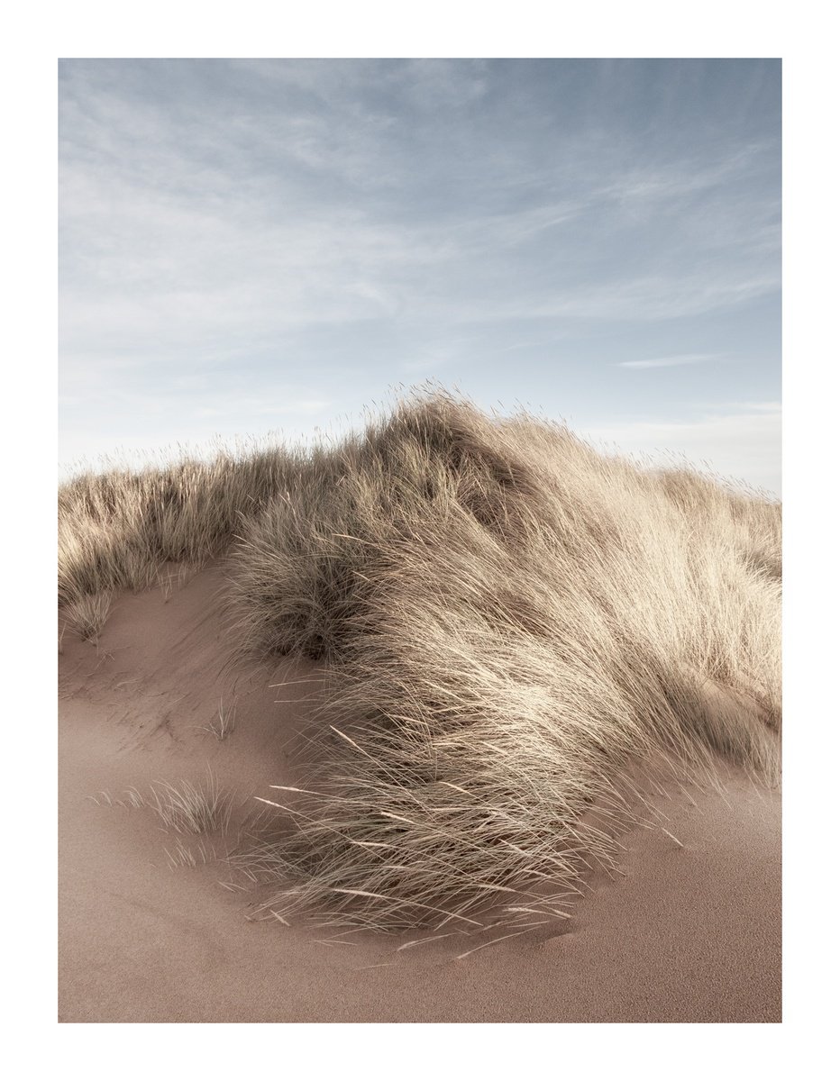 Dune Portrait III by David Baker