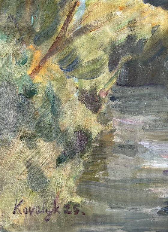 Soft Summer Light