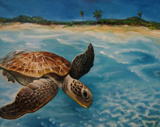 Caribbean Turtle III