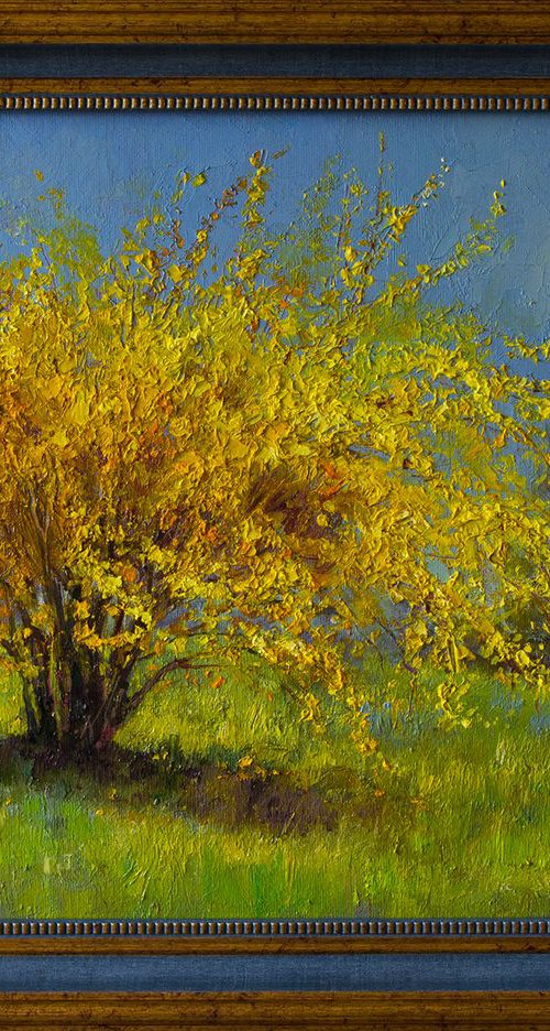 Forsythia blooms by Anna Bessonova (Kotelnik)