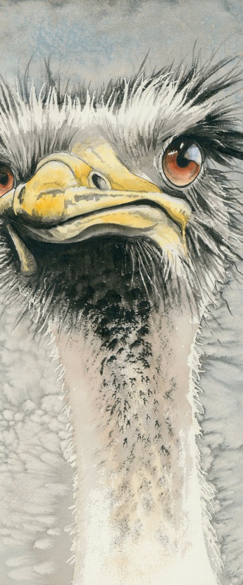 'Attitude' by Nicola Colbran