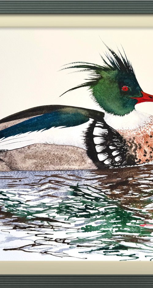Red-breasted Merganser Male by Yuliia Sharapova
