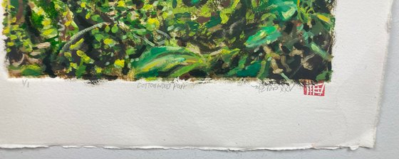 Cottonwood Pair